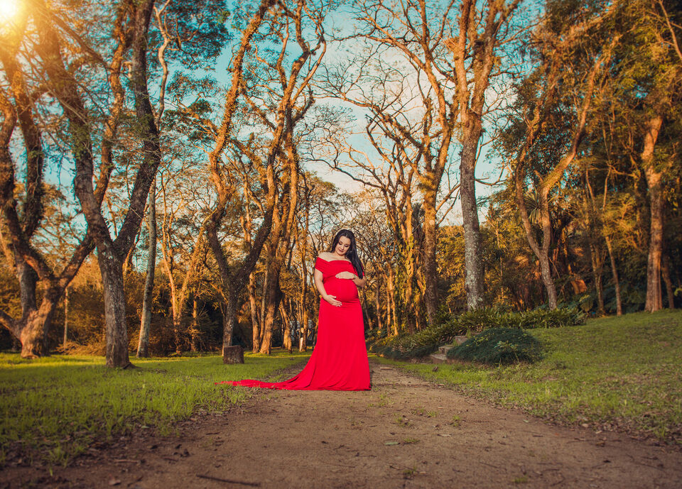 A espera por Maria Clara - Gestante Scheila A espera por Maria Clara - Gestante Scheila